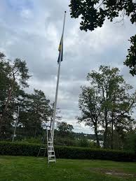 Image result for site:byggahus.se fällning