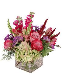 Order your groceries online, it's easy! Any Occasion Flowers Goldsboro Nc Flowers For You Inc