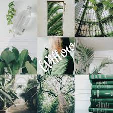 Willow Name Aesthetic Aesthetic Names Aesthetic Aesthetic Fashion A willow is any of the several hundred species of deciduous trees and shrubs in the genus salix. pinterest