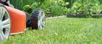 Evergreen lawn & tree care free price quote! Landscaper In Madison County Al Lawn Care Maintenance