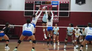 Women's Volleyball vs Ave Maria University