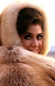Browse 107 cynthia myers stock photos and images available, or start a new search to explore more stock photos and images. Baby It S Cold Outside The Thought Experiment