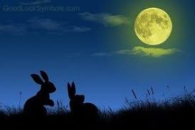 Your love life looks set to perk up, with both venus and mars in your sector of relating. Rabbit And Hare Superstitions Symbolism Legends