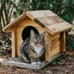 DIY Outdoor Cat Shelter Plans | Feral Cat House, Winter Weatherproof (PDF)