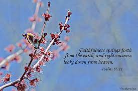 Maybe you would like to learn more about one of these? 46 Spring Scripture Wallpaper On Wallpapersafari