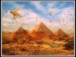 Image result for images The Plagues of Egypt