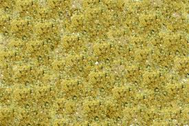 Background Of Small Yellow And Greenish Flowers Made By Photo Stock Photo Picture And Royalty Free Image Image 21604341 Ever wondered how to get text on top of an image on your website? background of small yellow and greenish flowers made by photo