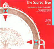 A poem, a few teachings. Sacred Path Cards The Discovery Of Self Through Native Teachings By Jamie Sams Hardcover Barnes Noble