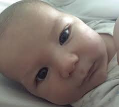 Meet Your New Neighbors