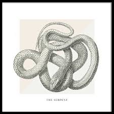 Poster depicting an illustrated snake against a background of matte pastel colors. The Serpent Poster Postersprints