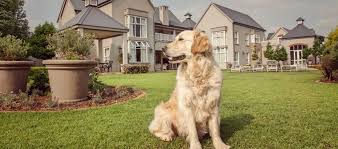 Buy or sell a business in springfield on businessbroker.net. Yard Weed Control Service Springfield Mo Archives Gabris Landscaping