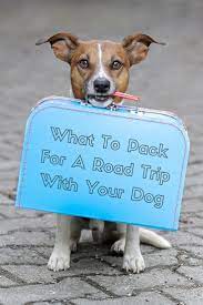 10 Items To Pack For A Road Trip With Your Dog Road Trip With Dog Pets I Love Dogs