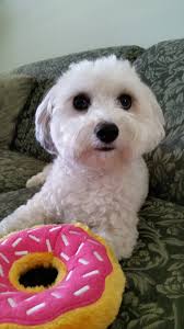 Happy birthday to a wonderful junior miss