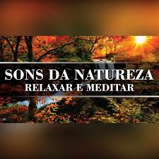 Música relaxante com sons da natureza, category: Musica Com Sons Da Natureza Para Meditar E Relaxar Sons De Passaros Na Floresta Com Agua Corrente Conteudo De Valor Podcast On Spotify