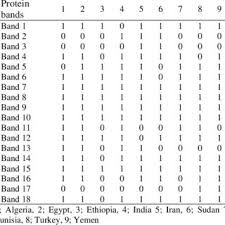 Image result for Dissotis pachytricha