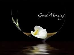 Good Morning Images For Whatsapp Free Download Latest good morning wishes (शुभ प्रभात संदेश) in hindi language only on hindimarathisms. good morning images for whatsapp free