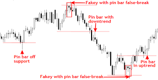 Forex Trading Price Action Pdf The Price Action Trading