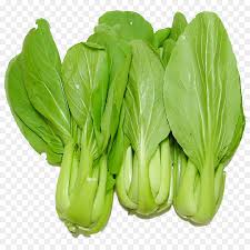Sayur adalah merujuk kepada sebarang tumbuhan atau bahagian tumbuhan yan dimakan secara mentah atau setelah. Sayuran Daun Sayuran Collard Hijau Gambar Png
