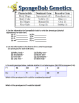 Spongebob genetics answer key each question. Name Bikini Bottom Genetics Worksheet 3 Dihybrid Crosses Use
