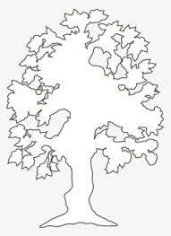 Plants, landscape design, fir tree, succulent, privacy shrub, lawn grass, flowers vector illustrations. Black Simple Outline Drawing Silhouette Tree Outline Of A Tree Transparent Png 640x399 Free Download On Nicepng