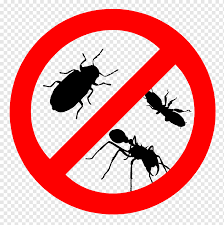 We have used orkin on 2 occasions and have had 100% satisfaction on both bed bugs and carpenter ants. Brown Cockroach Cockroach Insect Rat Pest Control Mosquito Roach Animals Insects Ant Png Pngwing