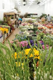 3 bed, 2 bath ∙ 1798 sq. Such Pretty Things Pretty Resources Potomac Floral