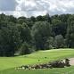Jericho Foundation Outing - LYNX GC