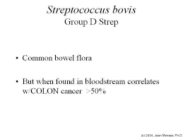 Image result for Group D Streptococcus