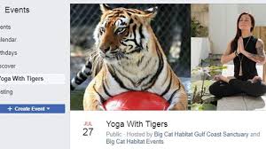 So this weekend, don't do the same old thing. Lions Tigers And Yoga Animal Sanctuary Has Unique Program