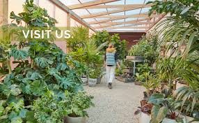 Hours may change under current circumstances Flora Grubb Gardens