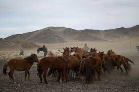 The Travel Diary The Mongolian Nomads Wrestling With Horses And The Future
