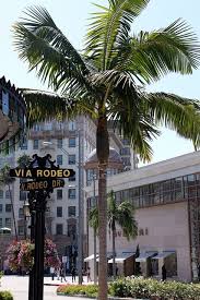 Taking a stroll at the top of rodeo drive beside the 208 rodeo restaurant. 13 Beverly Hills Rodeo Drive Ideas Beverly Hills Rodeo Drive Beverly Hills Hotel