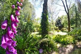 Maybe you would like to learn more about one of these? Te Popo S Gardens And Woodland Walkways Heart Of Taranaki