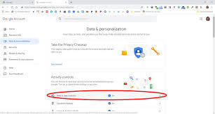 For example user can select a certain word or phrase and click a button and the activity will start the browser with the google search query. How To Automatically Delete Google S Web App Activity Data The Gadgeteer