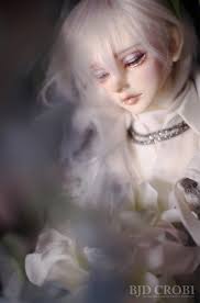 Lance Day Dream Wisteria Limited