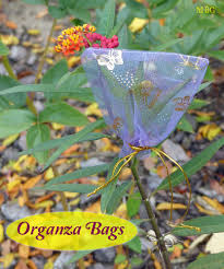 Butterfly Garden Resources For A Butter Garden Summer Flowers Garden Butterfly Garden Milkweed Seeds