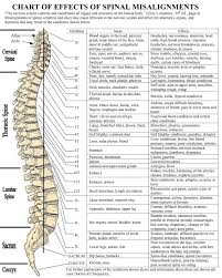 Merrick Chart Spine 2019