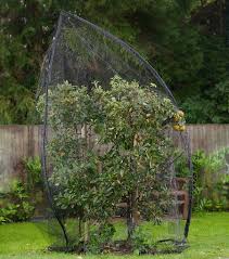 Fruit saver's backyard fruit tree net is ideal for organic fruit production. Popadome Tree Cover 2 5m X 3 5m Pest Protection System
