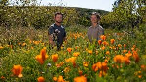 You know, to kind of see the process unfold in the movie is really beautiful. Life On The Biggest Little Farm Behind The Scenes Of A Biodynamic Blockbuster Los Angeles Times