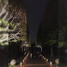 Pin On Two Leos And A Gypsy