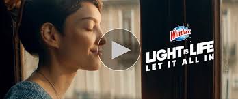 Amazon.com: Windex Glass and Window Cleaner Spray Bottle, Ammonia Free,  Bottle Made from 100% Recovered Coastal Plastic, Surface Cleaning Spray,  Crystal Rain Scent, 23 Fl Oz : Health & Household