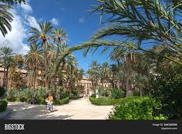 Schedule your private tour today. Palermo Italy City Image Photo Free Trial Bigstock