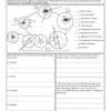 Terms in this set (34). 1
