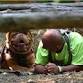 Midwest Canine Obstacle Run