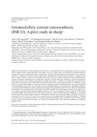 Proud to be malaysia frontliners. Pdf Intramedullary Cement Osteosynthesis Imco A Pilot Study In Sheep