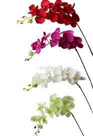 2021 Artificial Orchid Flowers Long Stem Fake Flowers Single Vanda Phalaenopsis Cymbidium For Xmas Event Party Wedding Home Decoration From Wrdbf 62 42 Dhgate Com