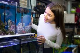 .dari botol aqua bekas, budidayaikanhias com cara membuat aquarium dari plastik sangat simple sekali hanya dengan menyiapkan bahan bahan utama pembuatan aquarium seperti botol plastik bekas toples ataupun gallon plastik bekas yang ada dirumah anda dengan memanfaatkan barang bekas. Buat Semua Orang Terkesima Dengan Akuarium Buatanmu Dan Hias Dengan 10 Hiasan Ini