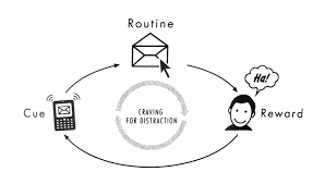 The power of habit by charles duhigg digs into habits. Sejbookclub The Power Of Habit Sej