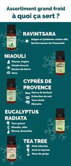 Epingle Sur Huiles Essentielle