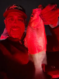 Fishing at Sandler creek in Lakeland with top water lure